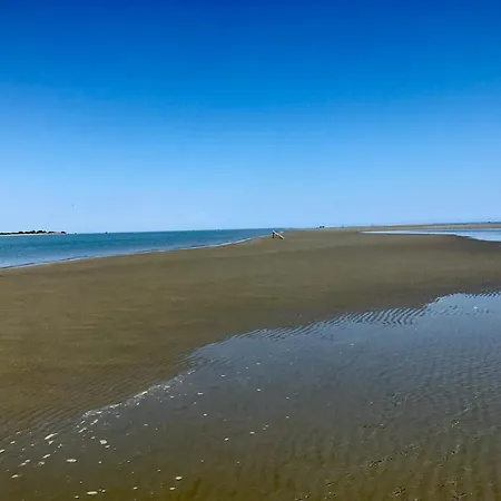La Zia Acida